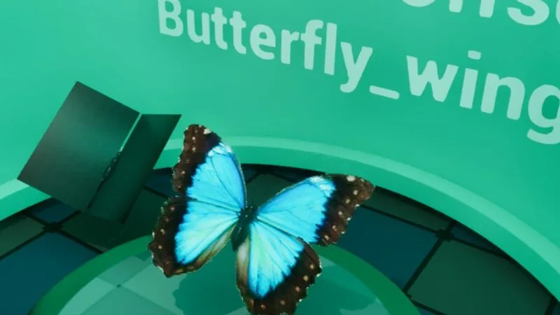 Farfalla 3d con materiale che anima i vertici delle ali nel tempo