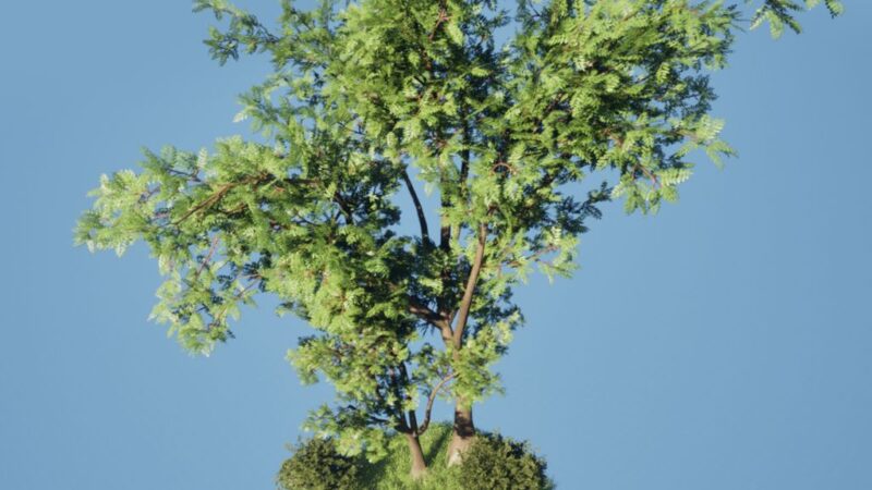 Foliage asset, materiale e modalità