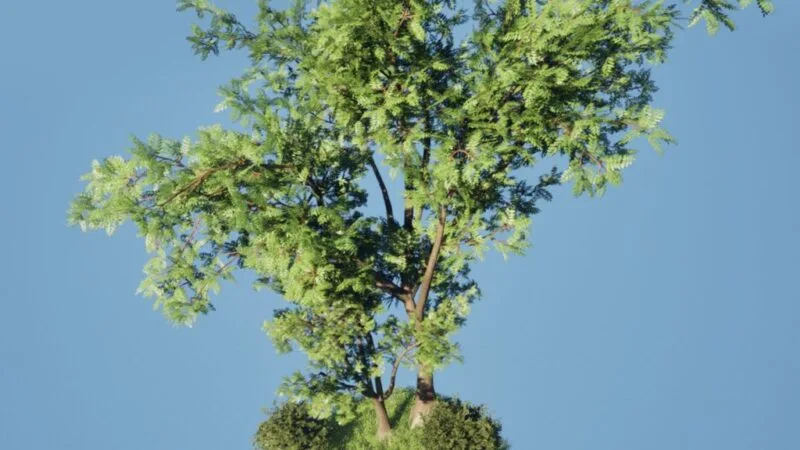 Foliage asset, materiale e modalità